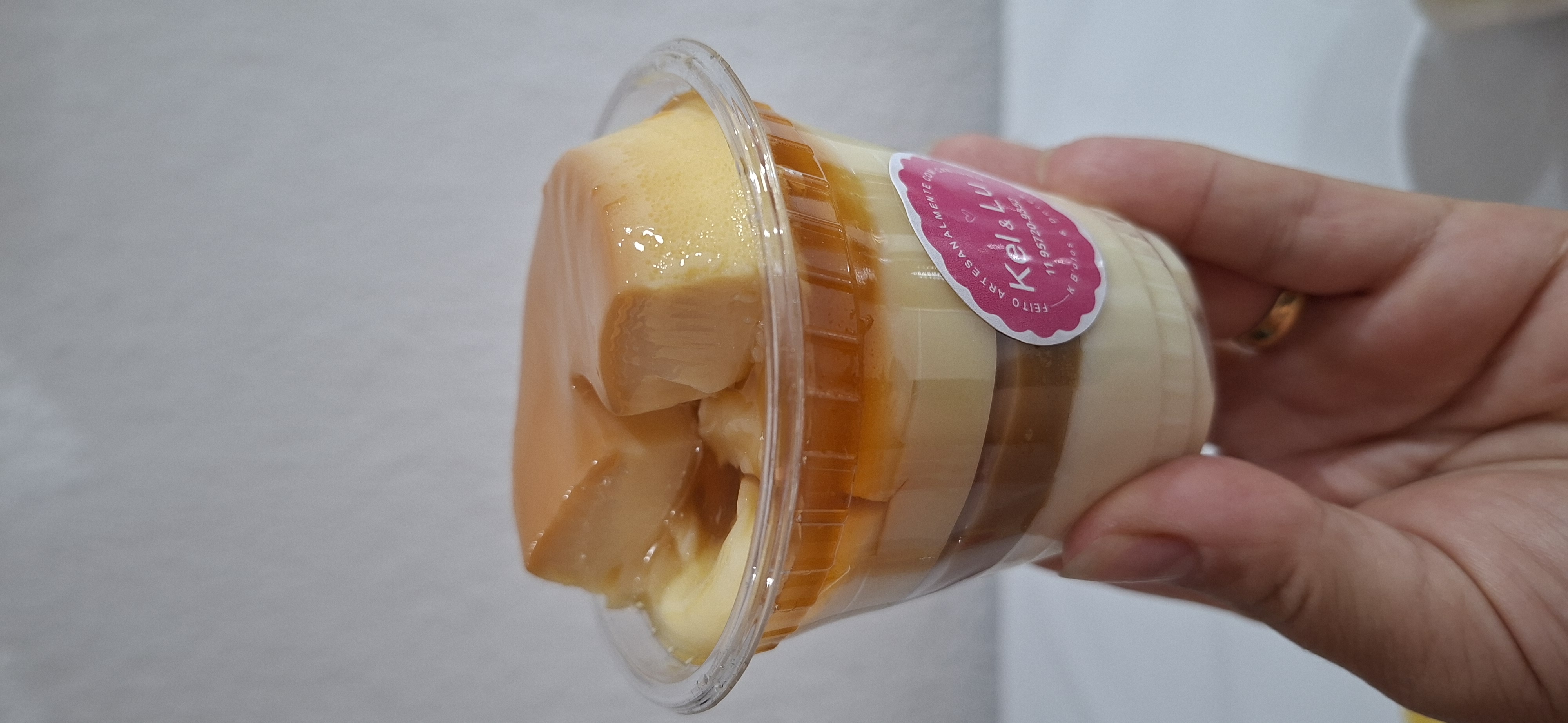 CoPudim 220g
